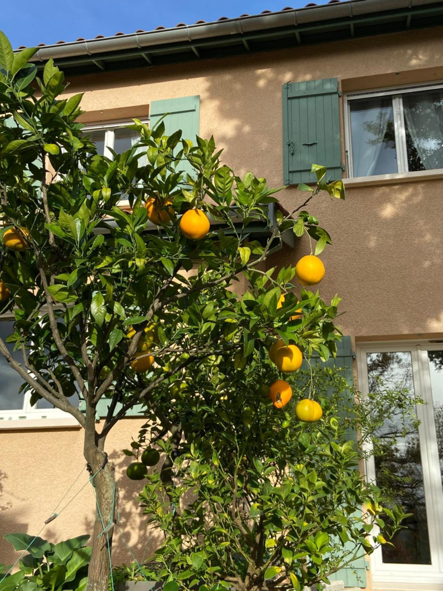 Le Relais des Malettes Chambres d'hôtes B&B Francheville  Extérieur photo