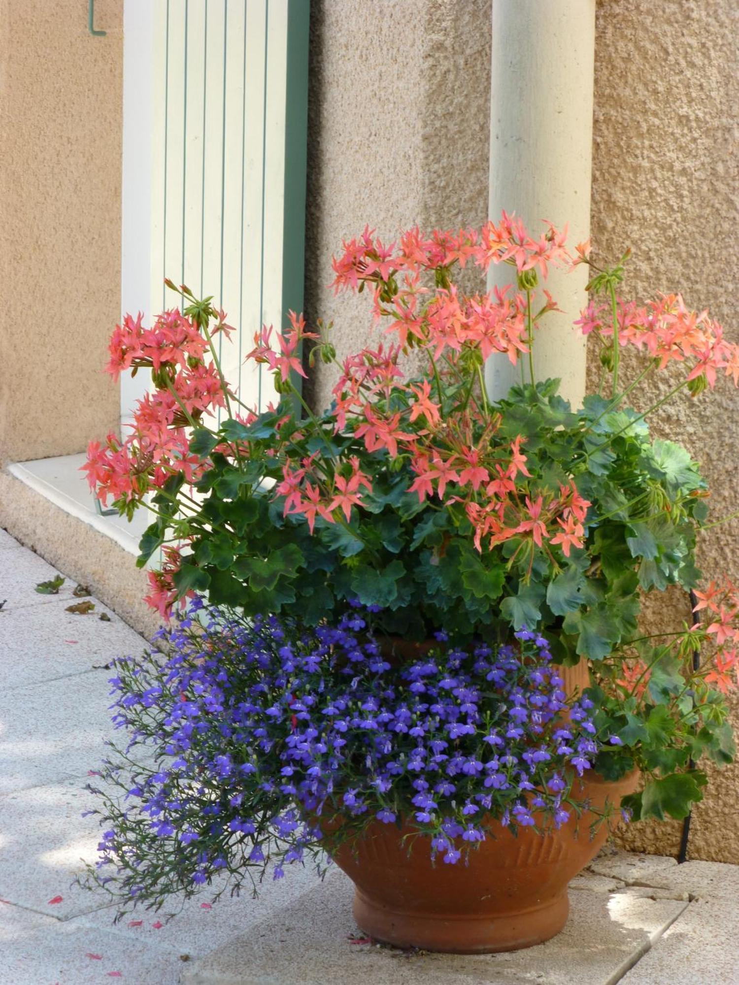 Le Relais des Malettes Chambres d'hôtes B&B Francheville  Extérieur photo